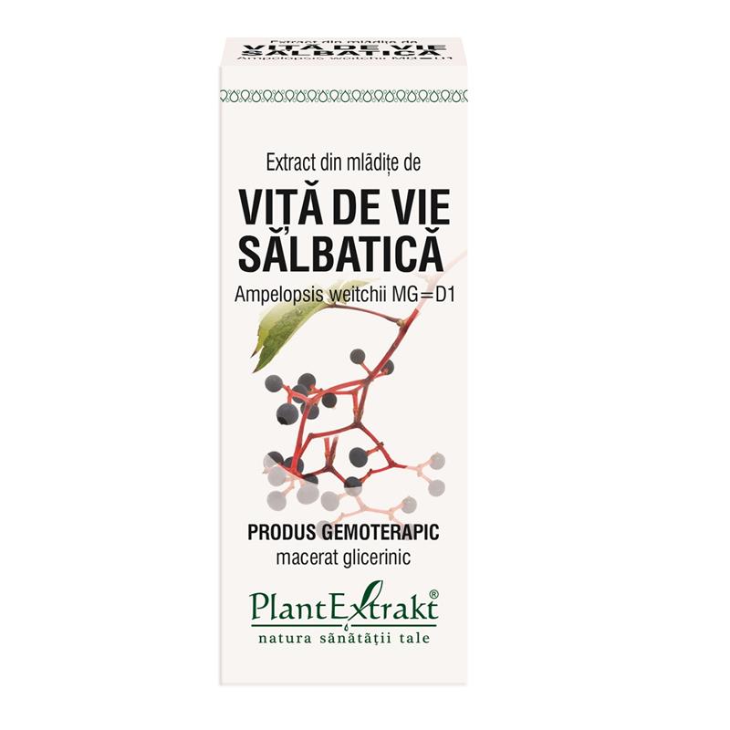 Extract din mladite de Vita de vie salbatica 50 ml Plant Extrakt