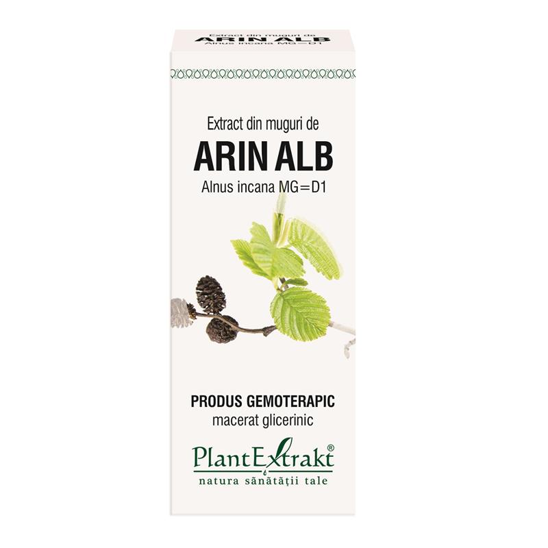 Extract din muguri de Arin Alb, 50 ml Plant Extrakt