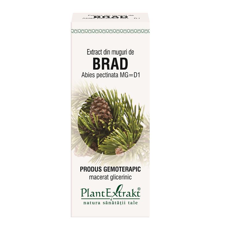 Extract din muguri de Brad 50 ml Plant Extrakt