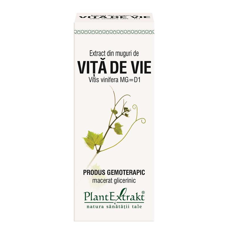 Extract din muguri de Vita de vie 50 ml Plant Extrakt